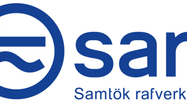 Viðtal við forstjóra Raftækjasölunnar ehf.